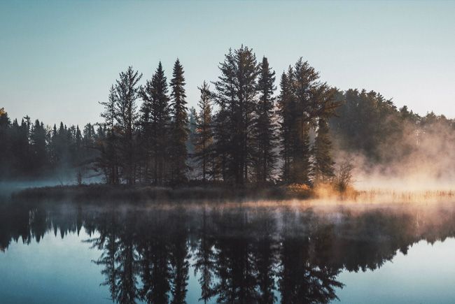 Chasse en forêt, levé du soleil sur l'étang